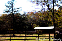 Deer Creek Farms Horse Show 10-28-2012